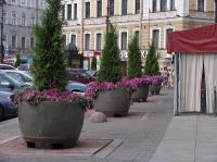 Вазон Мегаполис