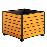 Вазон Визави